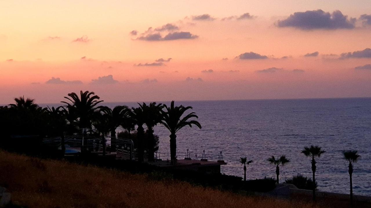 Stella Beach Hotel (Adults Only) Pánormos المظهر الخارجي الصورة